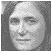 Amy Goodman