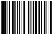 Hidden Style Barcode